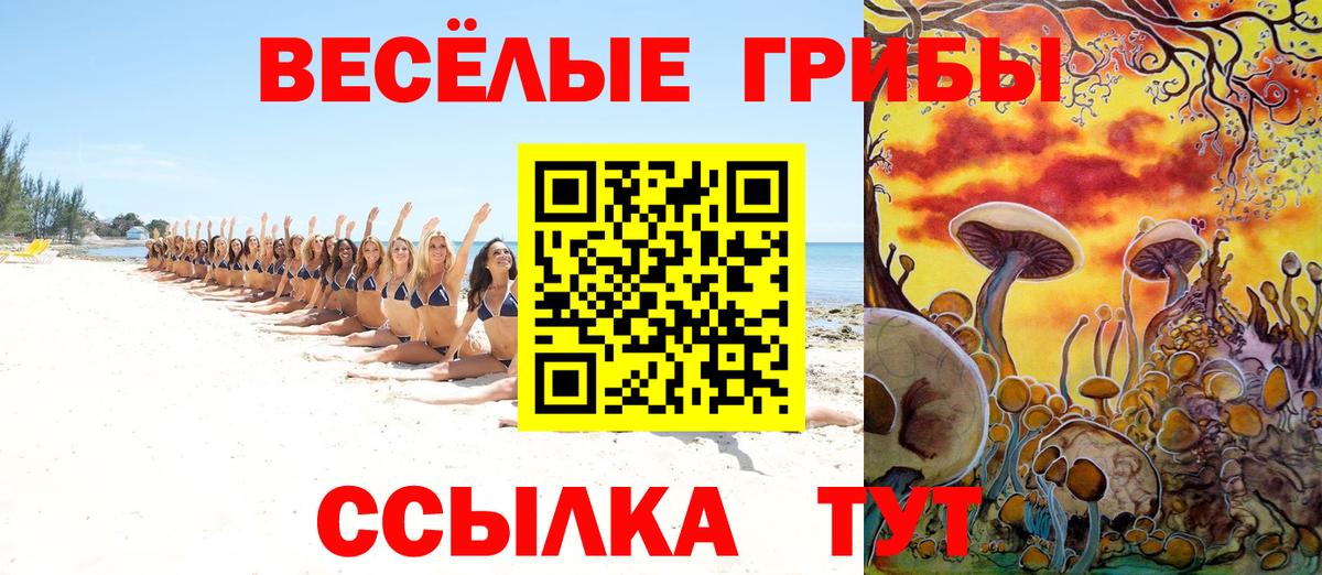 Галлюциногенные грибы прущие грибы Конаково