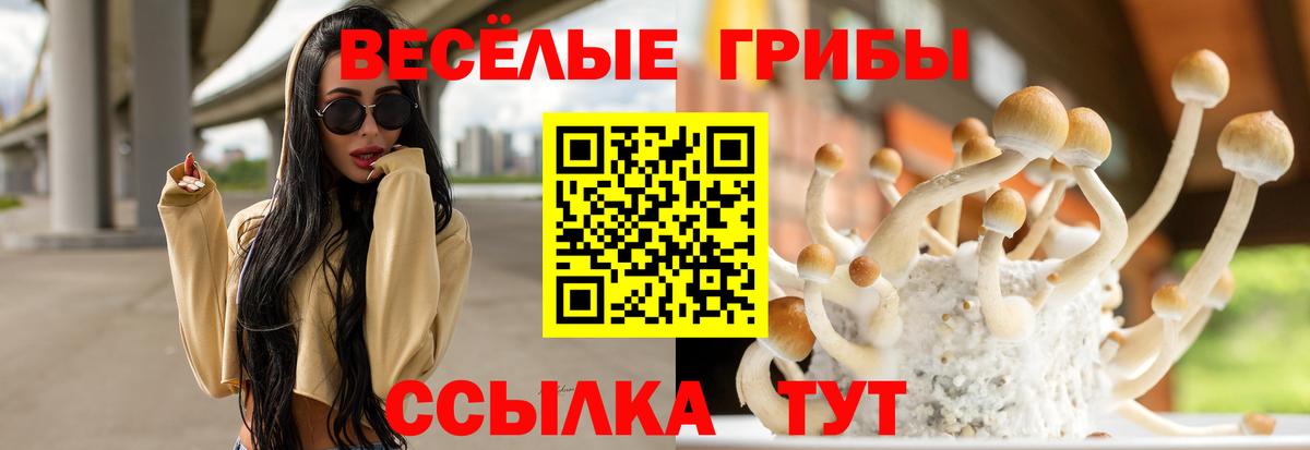 Псилоцибиновые грибы Psilocybe  Вход с VPN  Конаково 